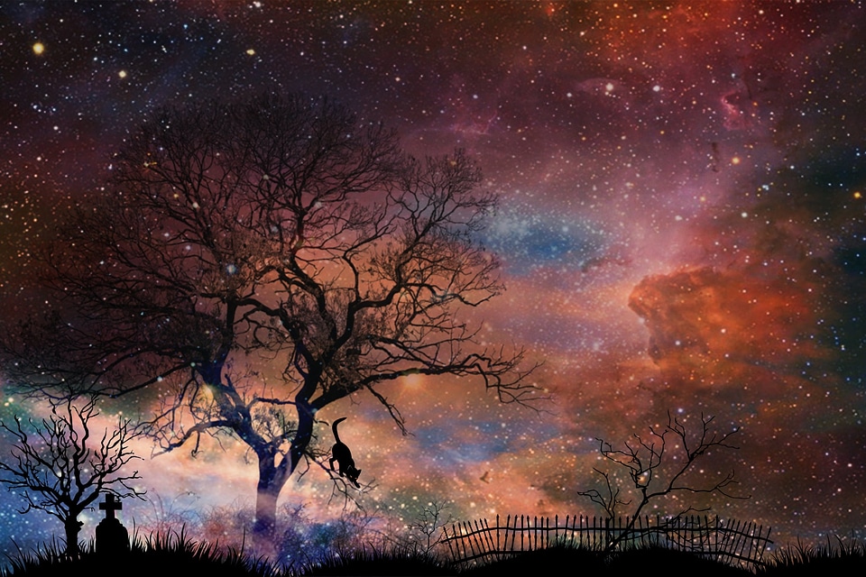 Mystical mood landscape