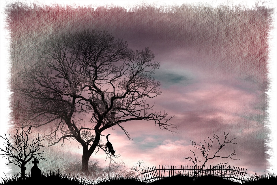 Mystical mood landscape