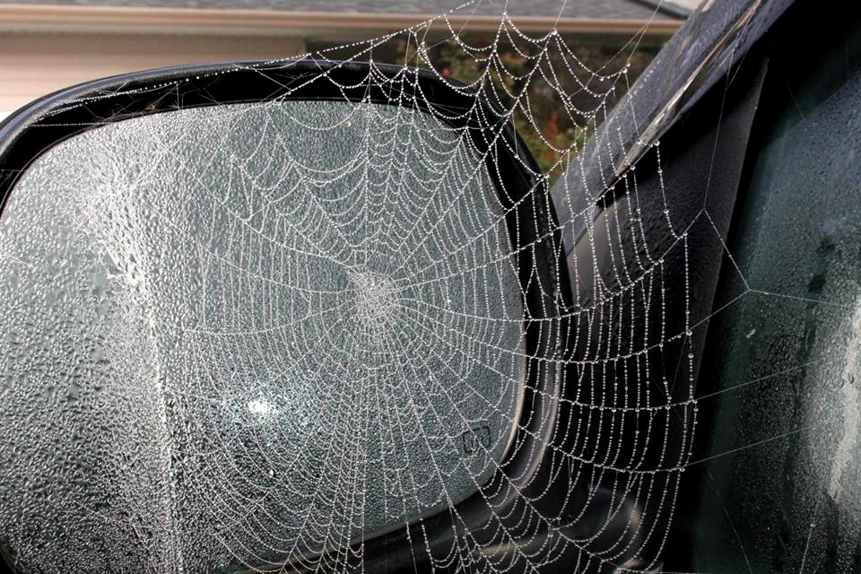 web 03