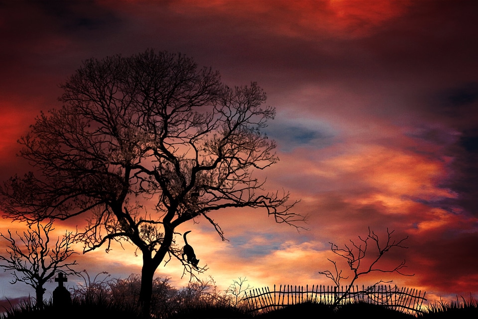 Mystical mood landscape