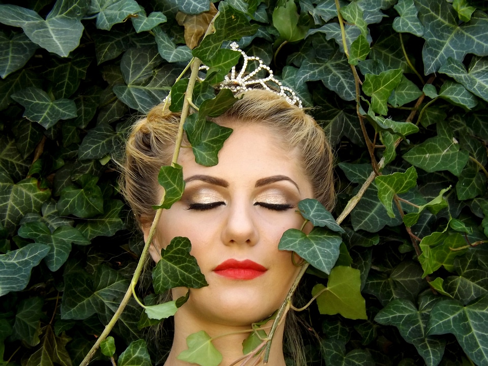 Princess crown beauty