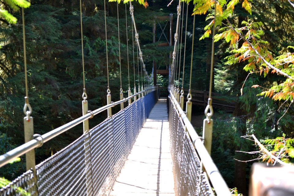 Drift Creek Falls suspension bridge crossing