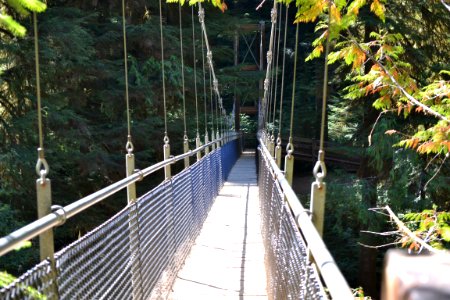 Drift Creek Falls suspension bridge crossing photo
