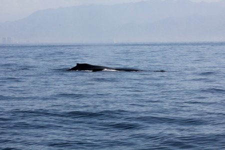 IMG 8548