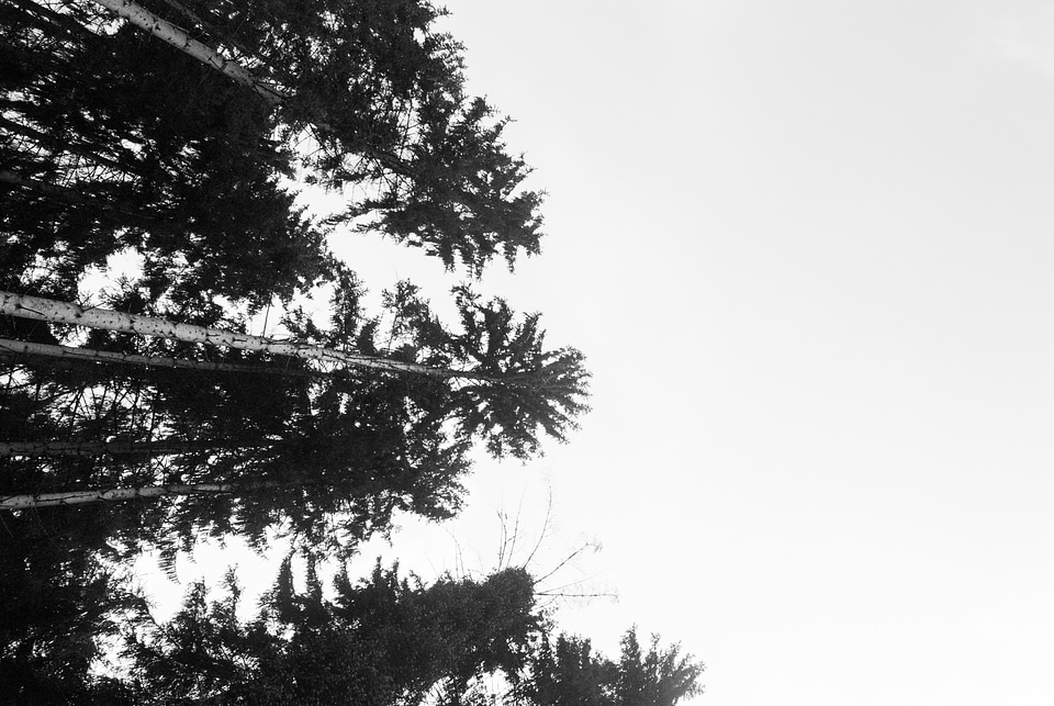 Nature landscape earth