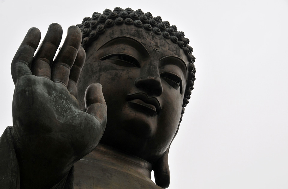 Hongkong peace lotus