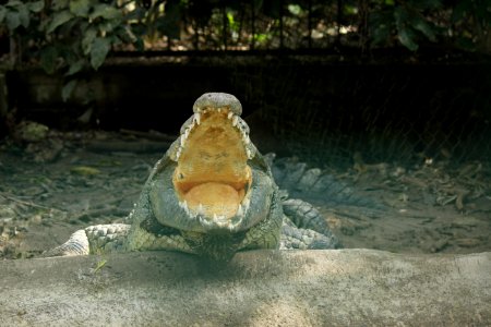 IMG 0630