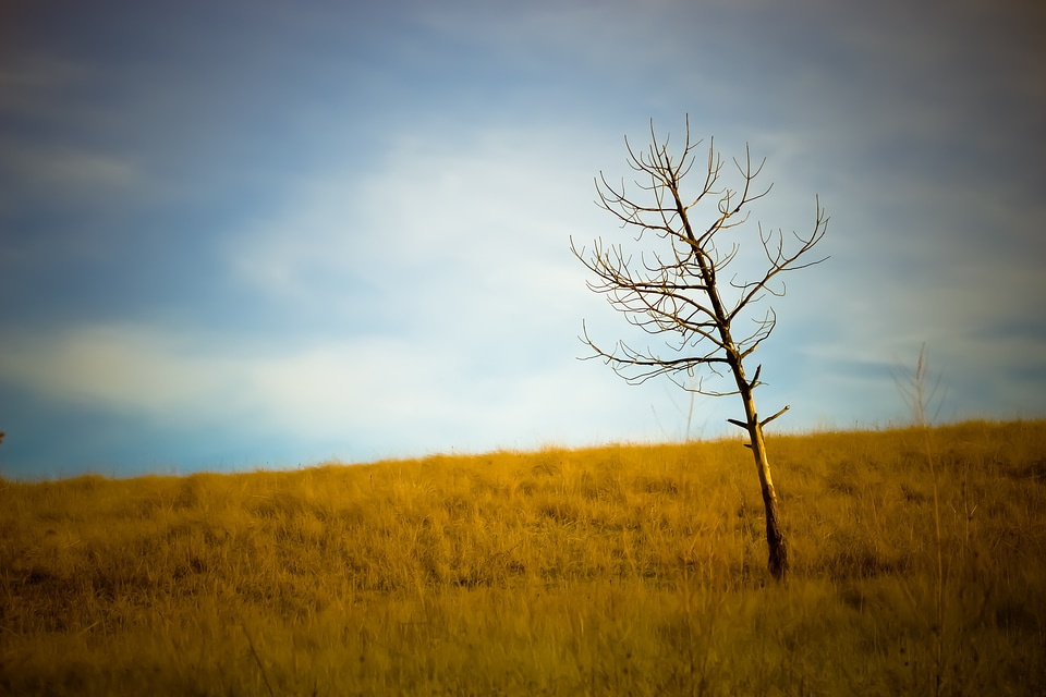 Fall nature landscape