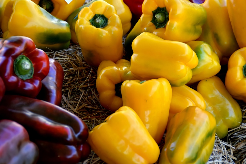 Yellow peppers bell peppers vegetables photo