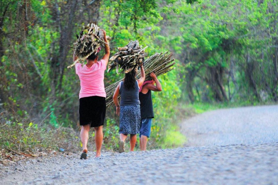 Amazonía Peruana, todos trabajan