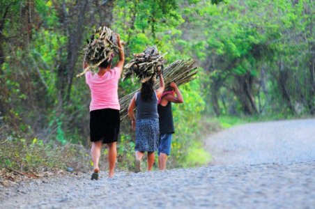 Amazonía Peruana, todos trabajan photo