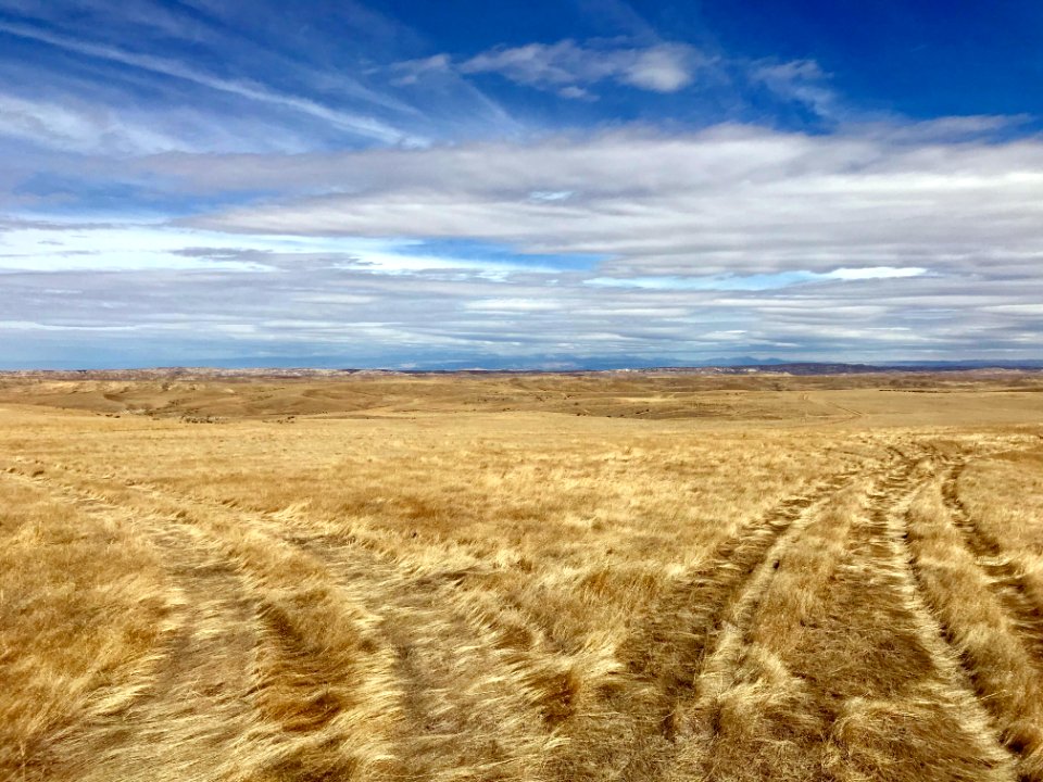 Scenic.NowaterRdWFO.StaceyWhitmanMoore