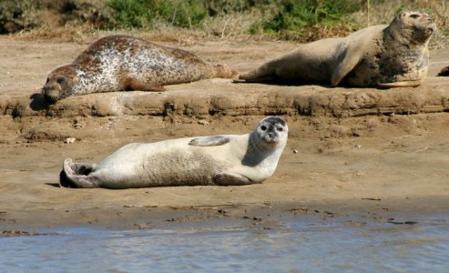 IMG 7071