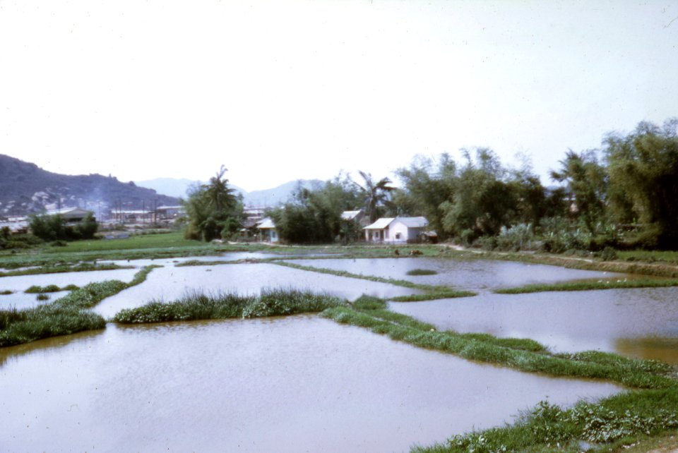 Rice paddies and houses near Qui Nhon