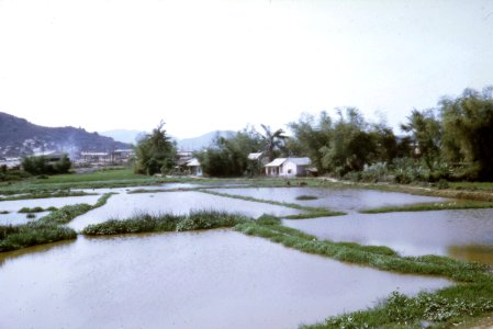 Rice paddies and houses near Qui Nhon