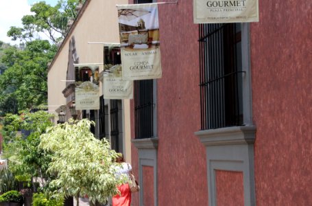 Guadalajara Tequila Town 14