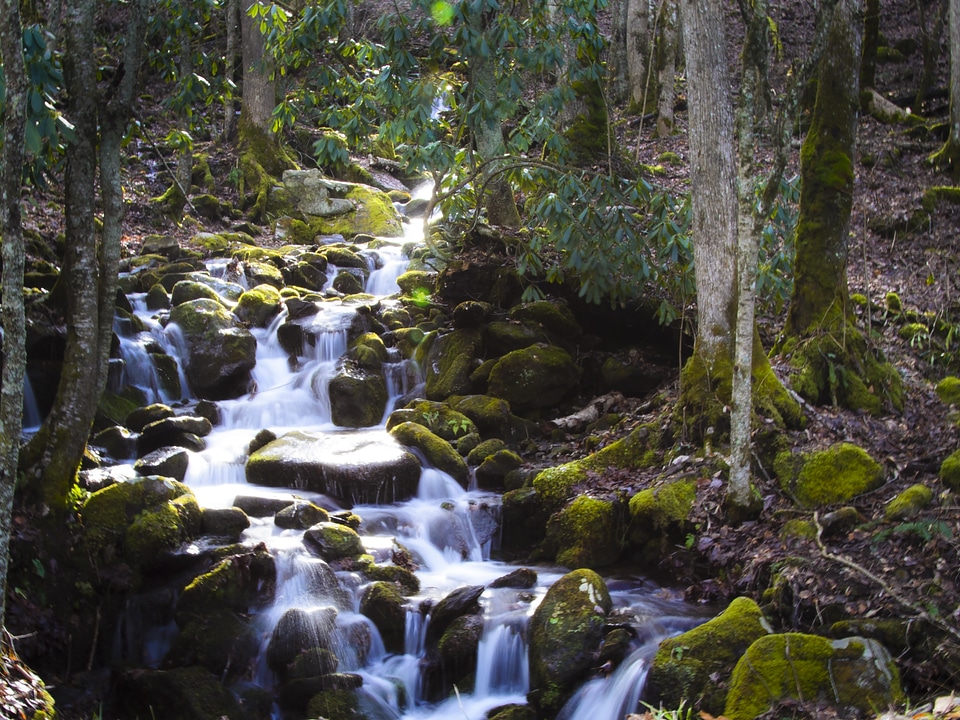 North carolina river creek