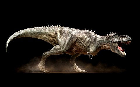 so cool, fiberglass dinosaur sculpture, we are also specilised in it