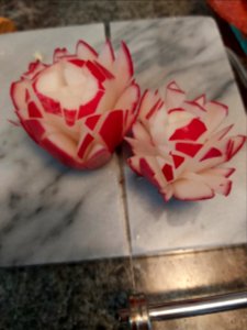 Day 254 goofing with radishes