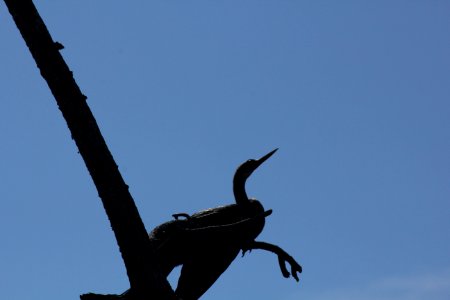 IMG 0484