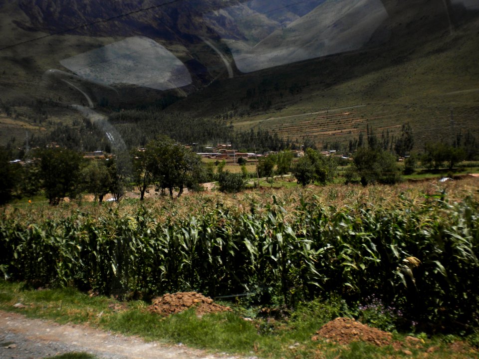 Valle Sagrado de los Incas desde el tren, Cusco, Perú