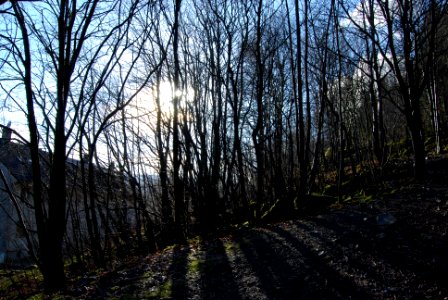 DSC 0759