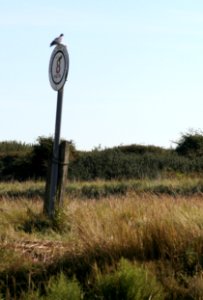 IMG 6794