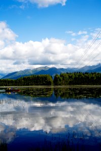 Goose lake on a summer day photo