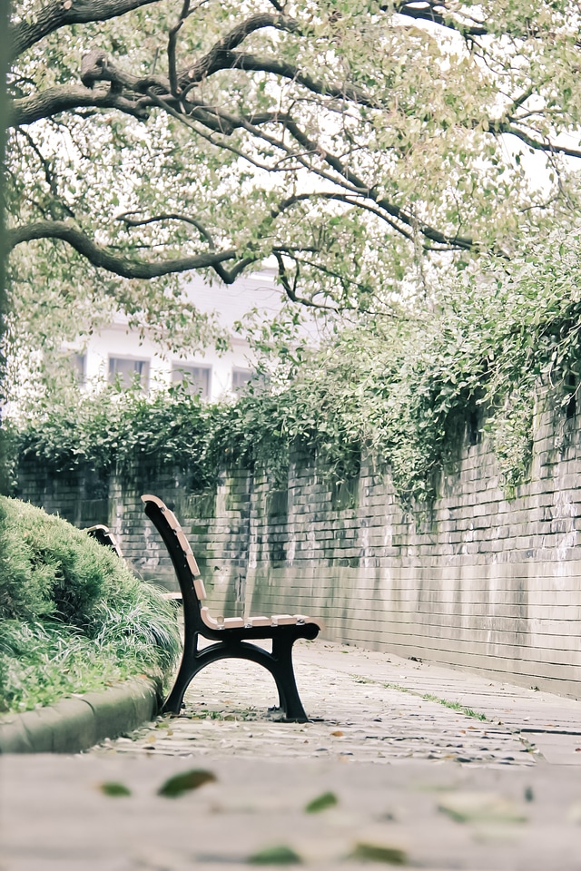 Chair green spring