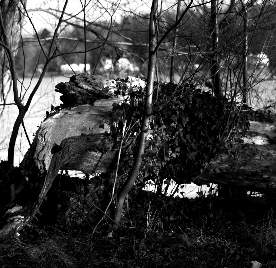 DSC01716 - Kopie