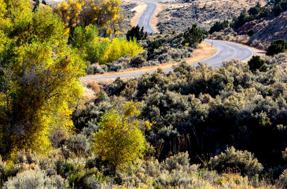 WY SeminoeAlcovaByway