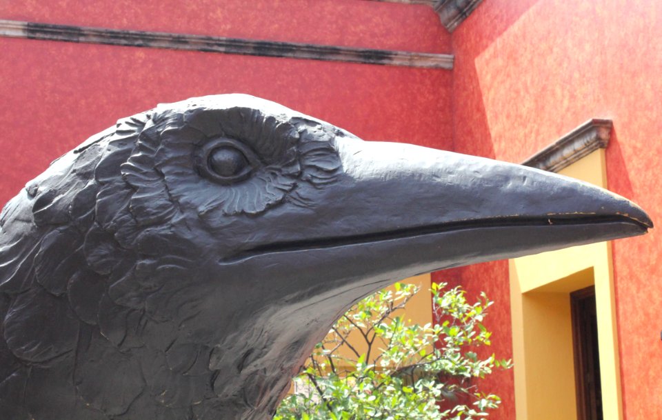 Guadalajara Tequila Cuervo