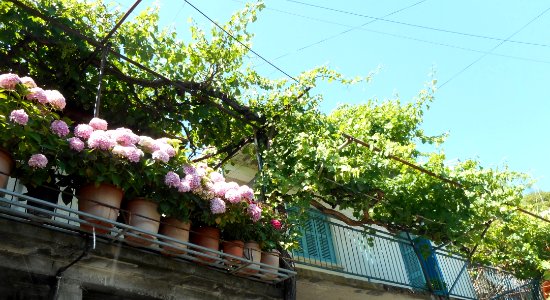 Alona & Polystipos, Cyprus