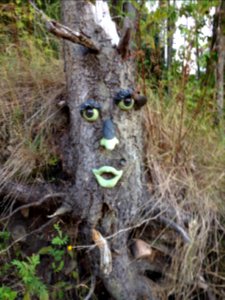 Tree Face