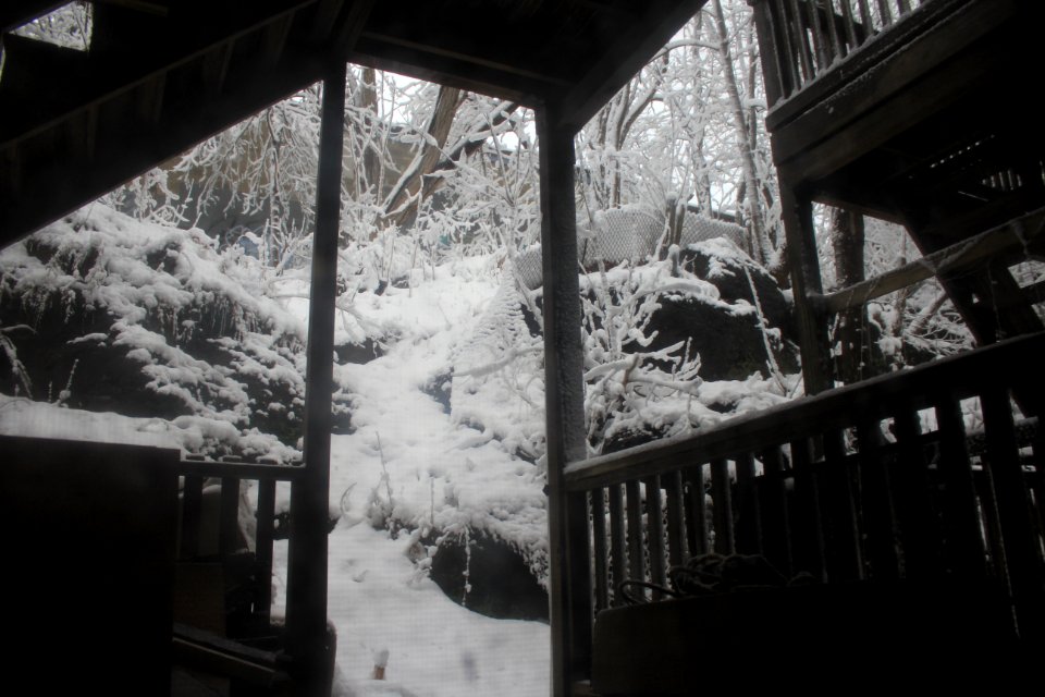 Winter on a Boston backyard