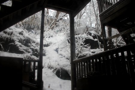 Winter on a Boston backyard