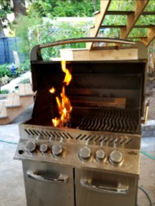 Day 148 open flame