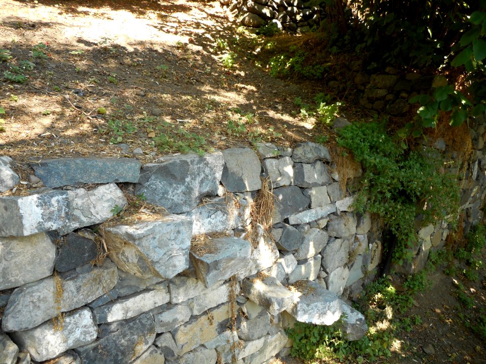 Alona & Polystipos, Cyprus