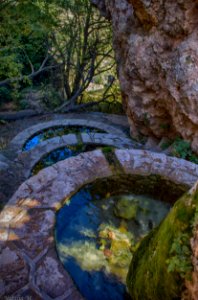 Fuente de vida