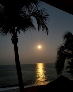 Moonlight