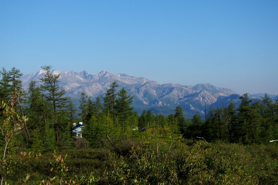 P7229345