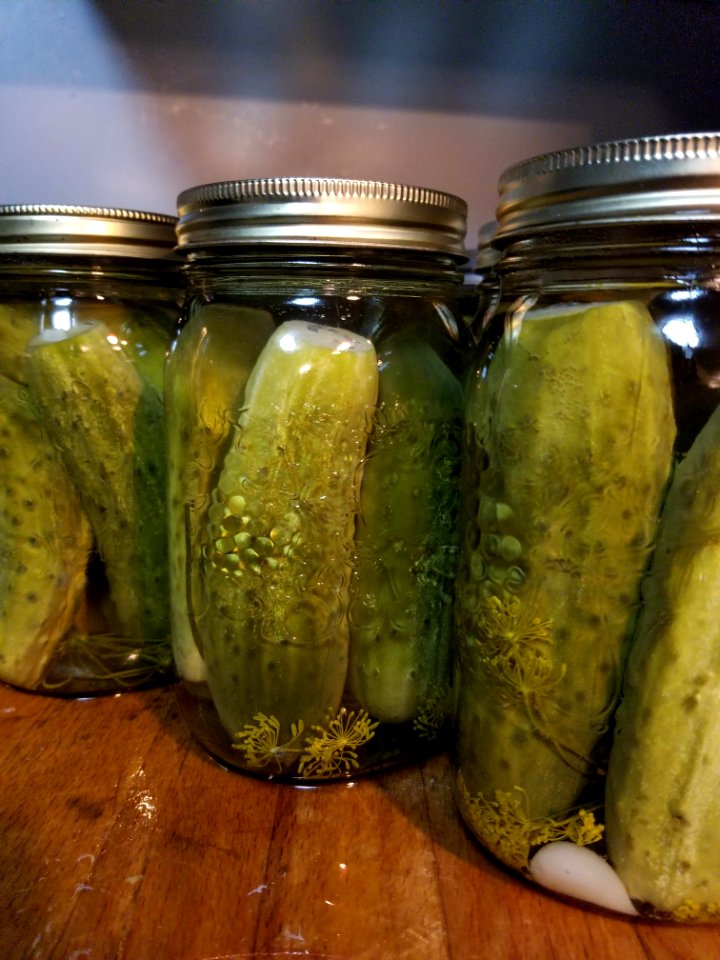 Day 224 Dill pickles done.