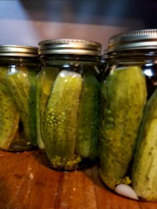 Day 224 Dill pickles done. photo
