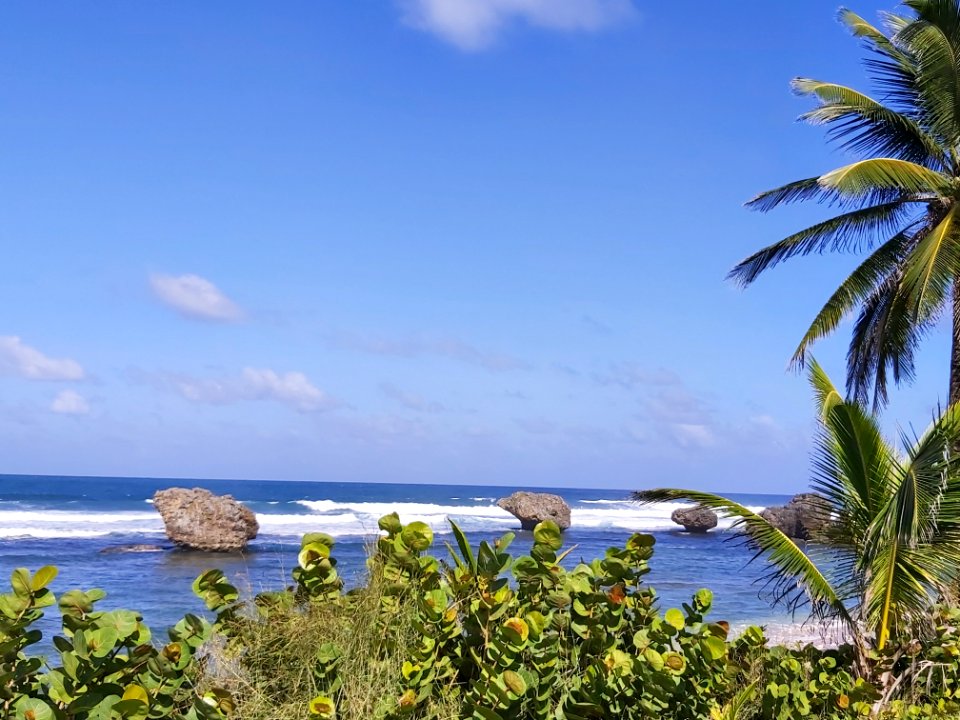 Barbados