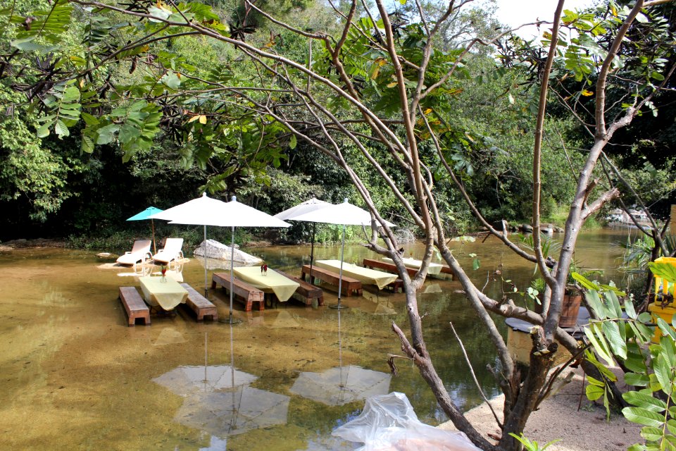 Lunch in the river