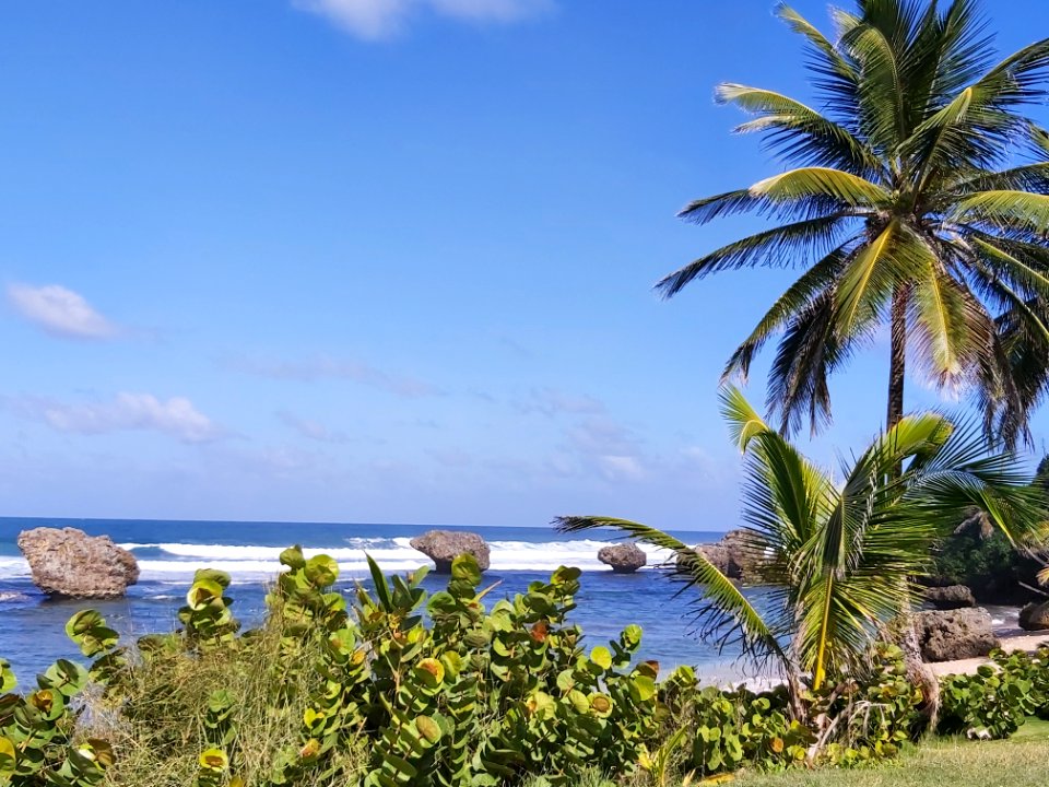 Barbados