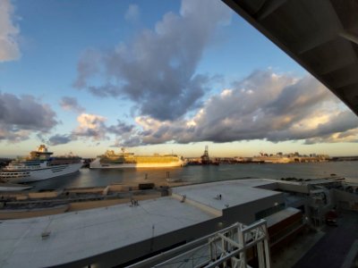 Celebrity Reflection