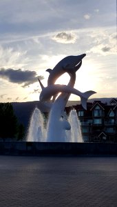 Dolphin fountain