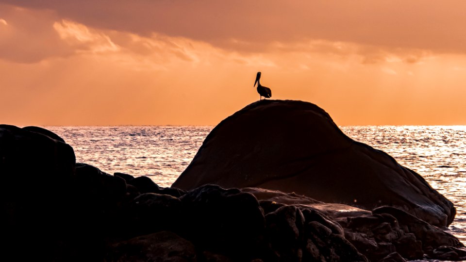 Cabo San Lucas