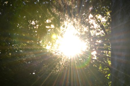 Sun glare